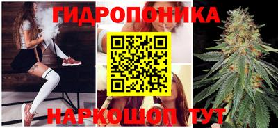 амф Донской