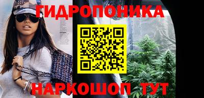 амф Донской