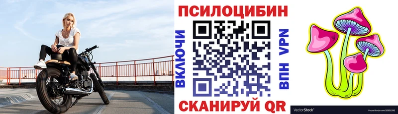 Псилоцибиновые грибы Cubensis  Кисловодск 