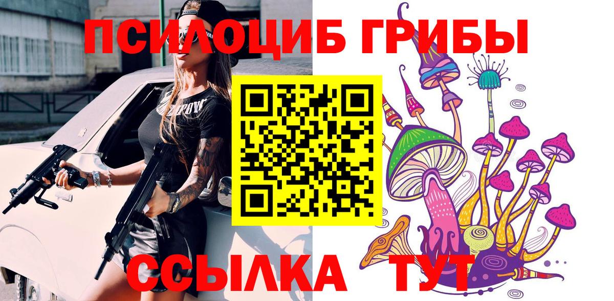 Псилоцибиновые грибы Psilocybe  Вход с VPN  Кисловодск 