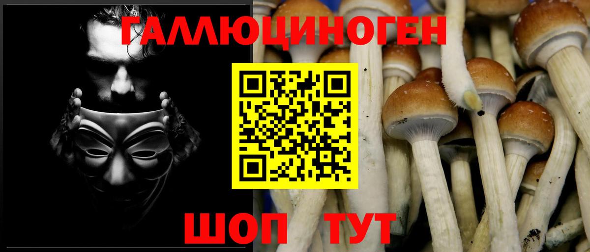 Псилоцибиновые грибы мицелий Кисловодск