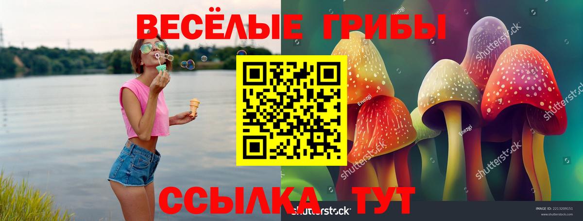 Псилоцибиновые грибы Cubensis Кисловодск