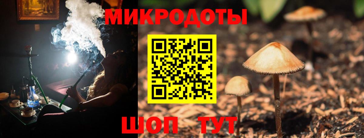 Псилоцибиновые грибы MAGIC MUSHROOMS  Кисловодск 