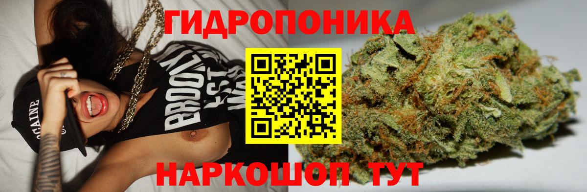Каннабис сатива  Каннабис Ganja  Кисловодск 